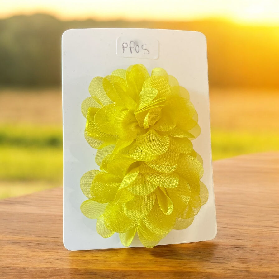 Lot de 2 pince en fleur