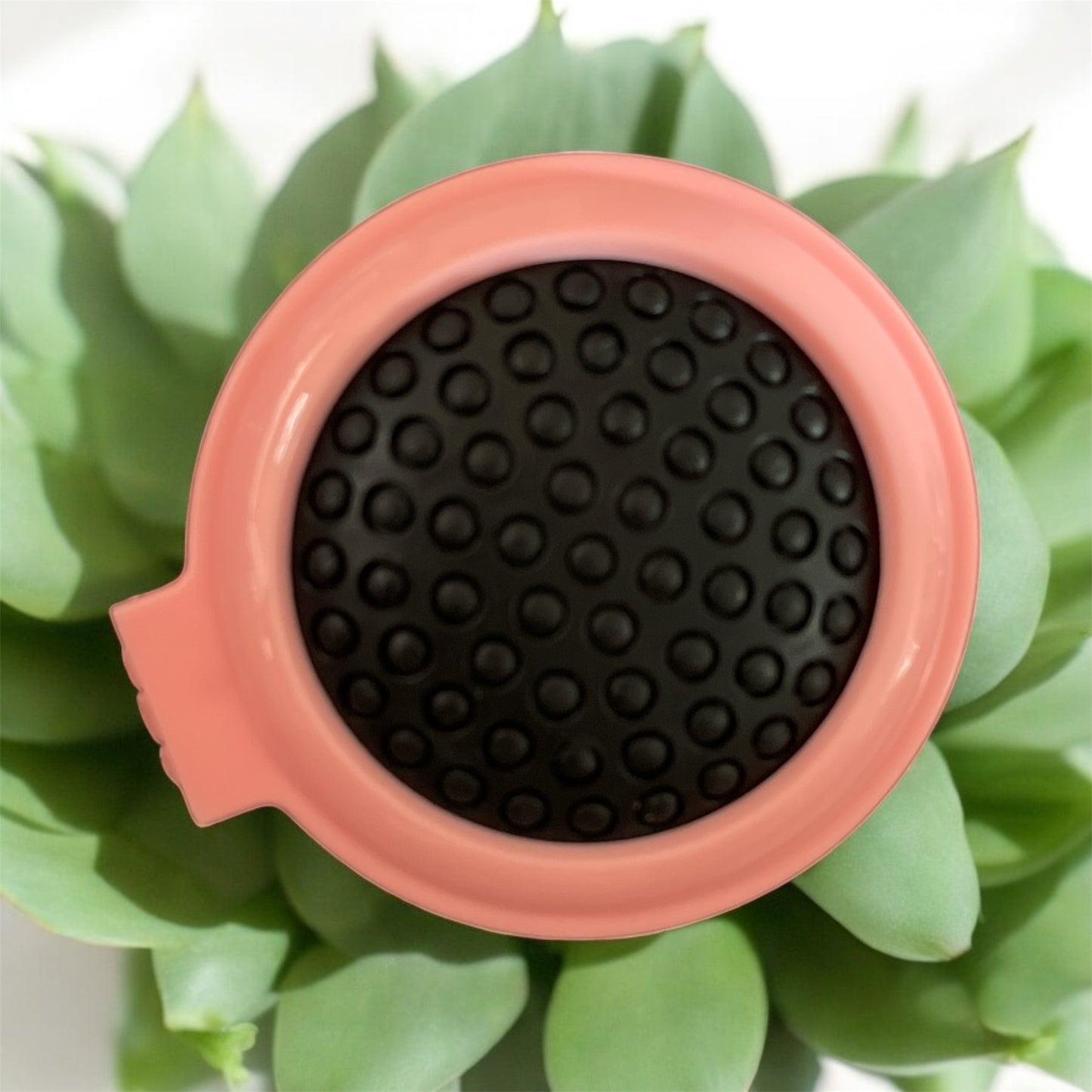 💕 Brosse à Cheveux Pliable – Compacte & Colorée 🌈
